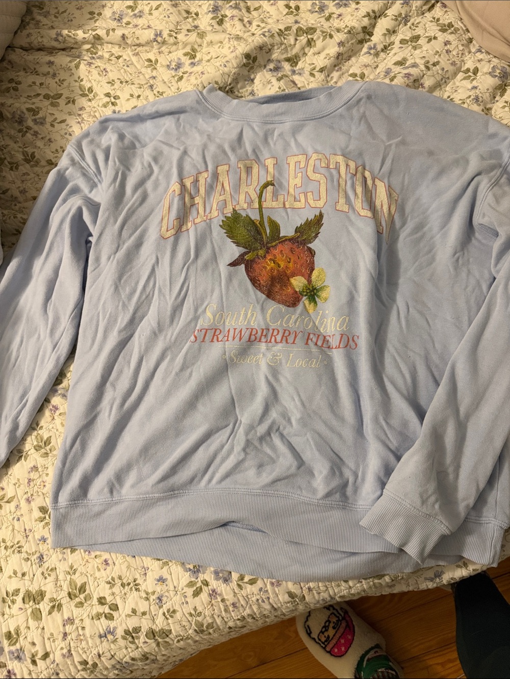 Altar'd State Light Blue Charleston Strawberry Crewneck